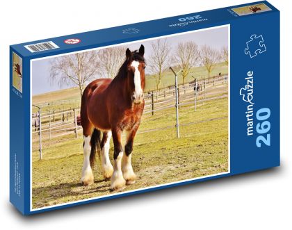 Braunpferd mit weißer Glatze - Puzzle - 260 Teile