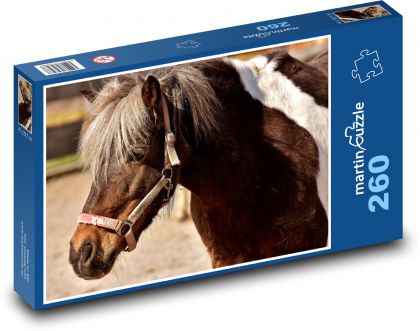 Brown horse with white spots in the paddock - Puzzle 260 pieces, size 41x28.7 cm 