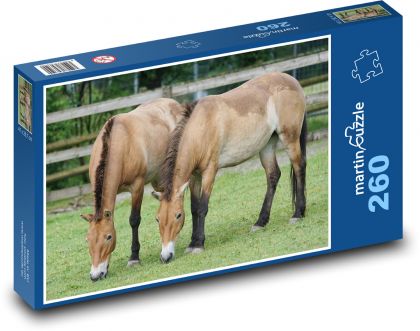 Horse - Puzzle 260 pieces, size 41x28.7 cm 