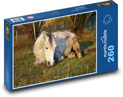Biały koń leżący na pastwisku - Puzzle 260 elementów, rozmiar 41x28,7 cm