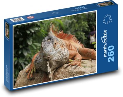 Legwan wygrzewający się na kamieniu - Puzzle 260 elementów, rozmiar 41x28,7 cm