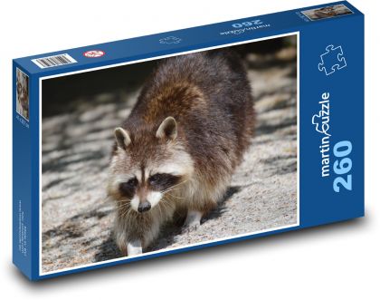 Waschbär - Puzzle - 260 Teile