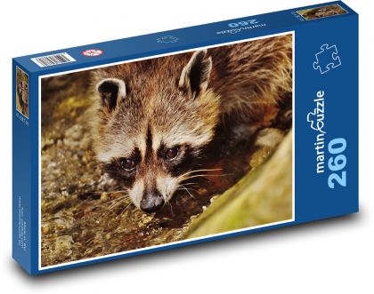 Raccoon - Puzzle 260 pieces, size 41x28.7 cm 