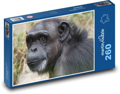 Šimpanz - Puzzle 260 dílků, rozměr 41x28,7 cm