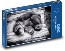 Spící opice  Puzzle 260 dílků - 41 x 28,7 cm