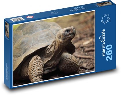 Głowa żółwia wystaje ze skorupy - Puzzle 260 elementów, rozmiar 41x28,7 cm