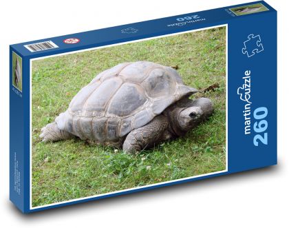Żółw ze skorupą - Puzzle 260 elementów, rozmiar 41x28,7 cm