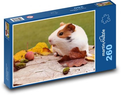 Biała świnka morska w jesiennych liściach - Puzzle 260 elementów, rozmiar 41x28,7 cm