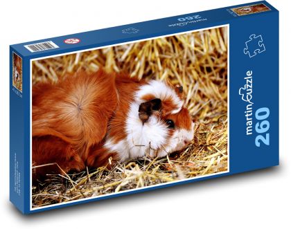 Guinea pig - Puzzle 260 pieces, size 41x28.7 cm 