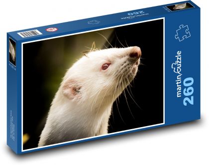White Ferret - Puzzle 260 pieces, size 41x28.7 cm 