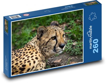 Leopard - Puzzle 260 dílků, rozměr 41x28,7 cm