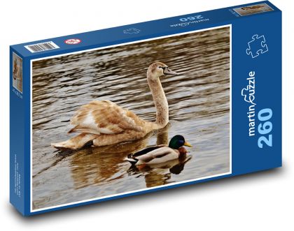 Young swan and duck - Puzzle 260 pieces, size 41x28.7 cm 