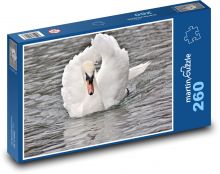 Bílá labuť na rybníku Puzzle 260 - 41x28,7 cm