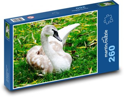 Labuť sedící v trávě - puzzle 260 dílků