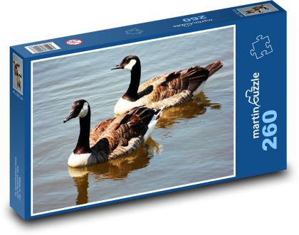 Husy na rybníku - puzzle 260 dílků