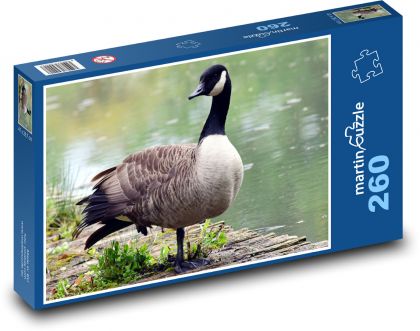 Gans am Teich - Puzzle - 260 Teile