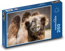 Camel with two humps Puzzle 260 pieces - 41 x 28.7 cm 