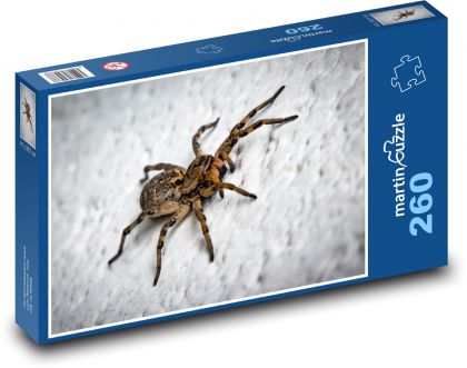 Spider - Puzzle 260 dielikov, rozmer 41x28,7 cm