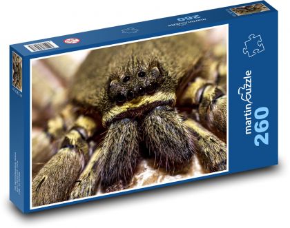 Spider with black eyes - Puzzle 260 pieces, size 41x28.7 cm 