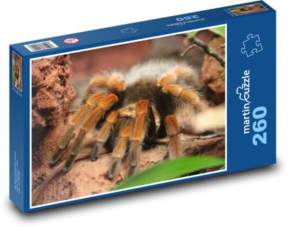 Pająk - Puzzle 260 elementów, rozmiar 41x28,7 cm