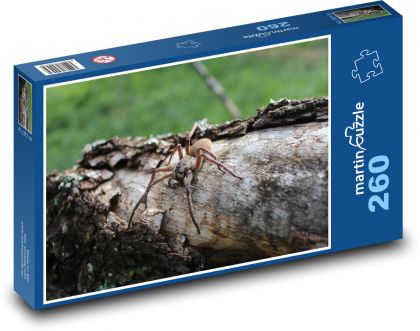 Spinne im Wald auf einem Stumpf - Puzzle - 260 Teile