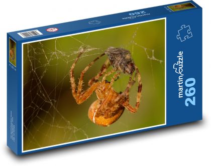 Spider on a web - Puzzle 260 pieces, size 41x28.7 cm 