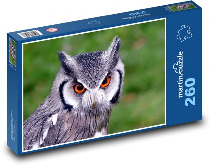 Sova - strážce lesa - puzzle 260 dílků