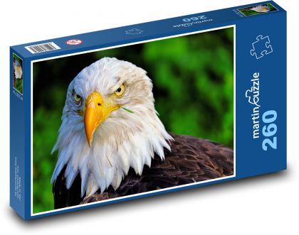 Eagle - Puzzle 260 pieces, size 41x28.7 cm 