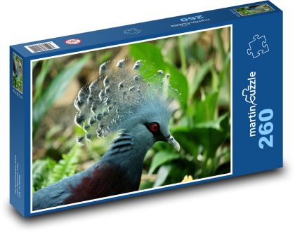 Vták - Puzzle 260 dielikov, rozmer 41x28,7 cm