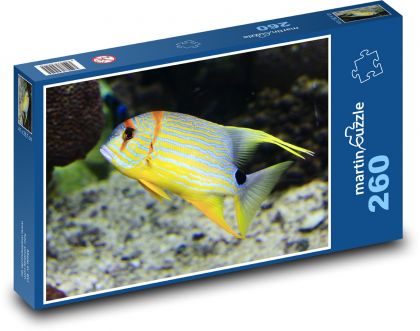Fisch - Puzzle - 260 Teile