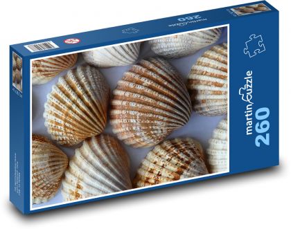 Mušle - Puzzle 260 dílků, rozměr 41x28,7 cm
