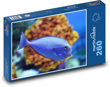 Fish - Puzzle 260 pieces, size 41x28.7 cm 