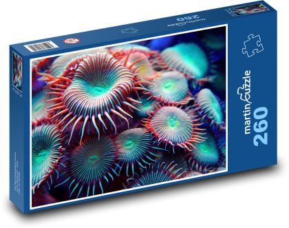 Barevné korály - puzzle 260 dílků