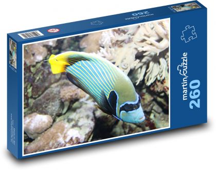 Sea Fish with Yellow Tail - Puzzle 260 pieces, size 41x28.7 cm 