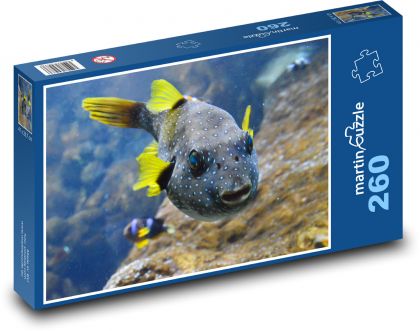 Gelbflossenfisch - Puzzle - 260 Teile