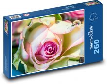 Květiny - Růže Puzzle 260 dílků - 41 x 28,7 cm