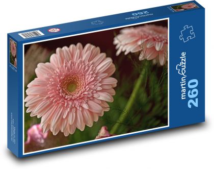 Kvety - Gerbera - Puzzle 260 dielikov, rozmer 41x28,7 cm