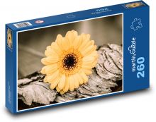 Květiny - Gerbera Puzzle 260 dílků - 41 x 28,7 cm