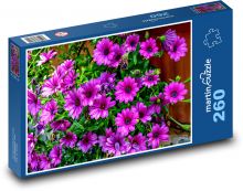 Letní fialové květy Puzzle 260 - 41x28,7 cm