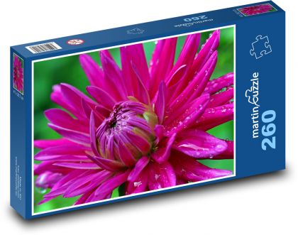 Rosa Dahlie im Detail - Puzzle - 260 Teile