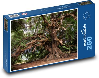 Olivovník, strom - Puzzle 260 dílků, rozměr 41x28,7 cm