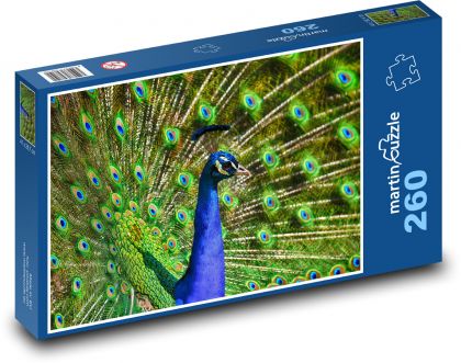 Peacock - bird - Puzzle 260 pieces, size 41x28.7 cm 