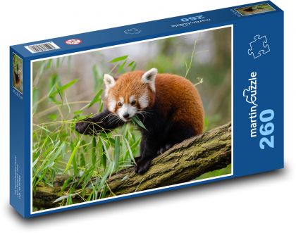 Panda červená - zvíře - Puzzle 260 dílků, rozměr 41x28,7 cm