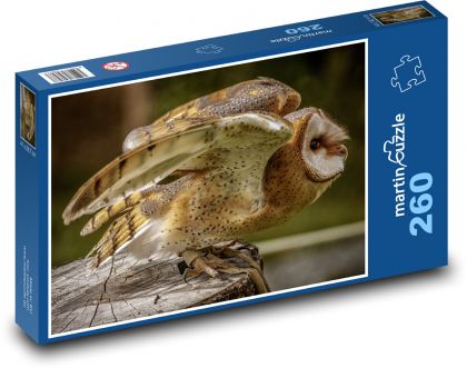 Sova pálená - vták - Puzzle 260 dielikov, rozmer 41x28,7 cm