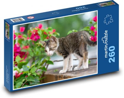 Zamurowany kotek na stole - Puzzle 260 elementów, rozmiar 41x28,7 cm