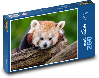 Panda odpočívající na kládě - puzzle 260 dílků