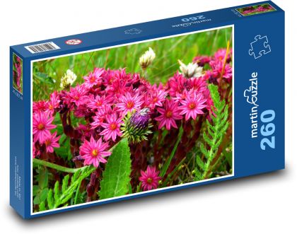 Rakúsko - Horské kvety - Puzzle 260 dielikov, rozmer 41x28,7 cm