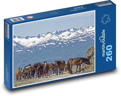 Kirgistan - koń - Puzzle 260 elementów, rozmiar 41x28,7 cm
