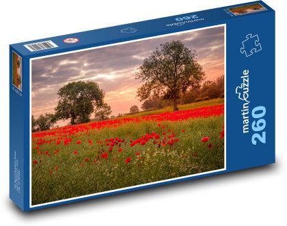 Ackworth, Poppy Field - Puzzle 260 pieces, size 41x28.7 cm 