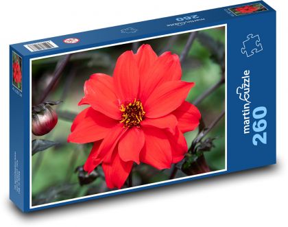 Red flower - Puzzle 260 pieces, size 41x28.7 cm 